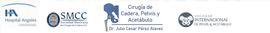 Especialista en cadera